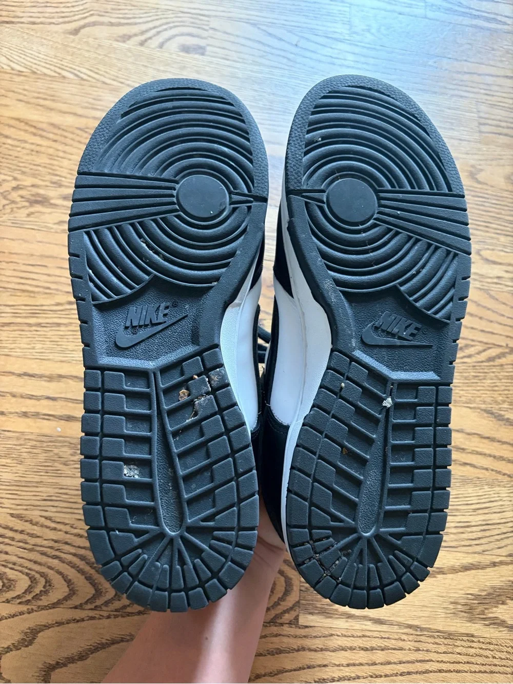 Nike dunk sneakers